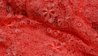 Tendenze colore Autunno Inverno 2017/18: tessuti rossi in pizzo